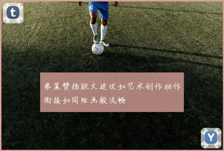 弗莱赞扬欧文进攻如艺术创作动作衔接如同绘画般流畅