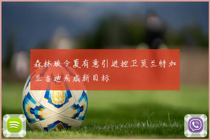 森林狼今夏有意引进控卫莫兰特加兰吉迪或成新目标